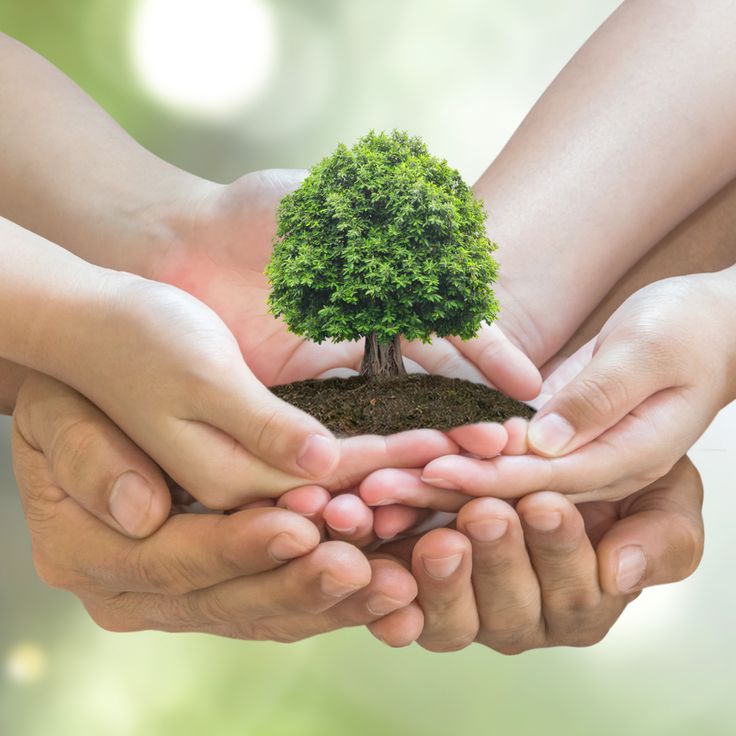 Environmental Care Program